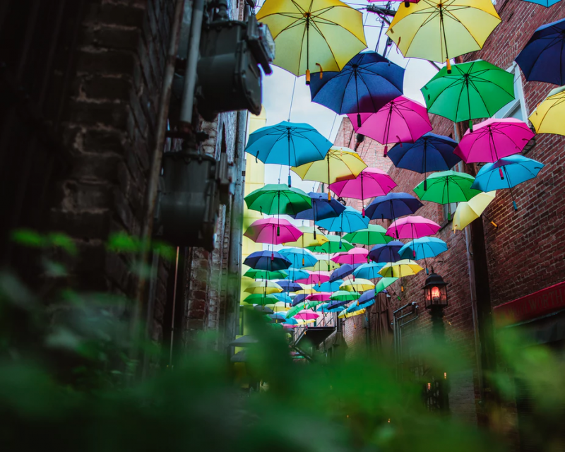 Umbrellas in the Orange St alley