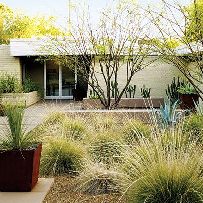 Drought Tolerant Landscaping City Of, California Drought Resistant Plants Landscaping