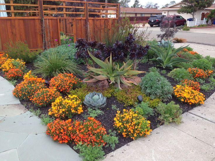 Drought Tolerant Landscaping City Of, Drought Tolerant Plants Landscape Design Southern California