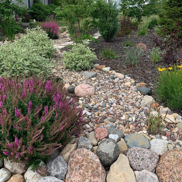 drought landscaping ideas