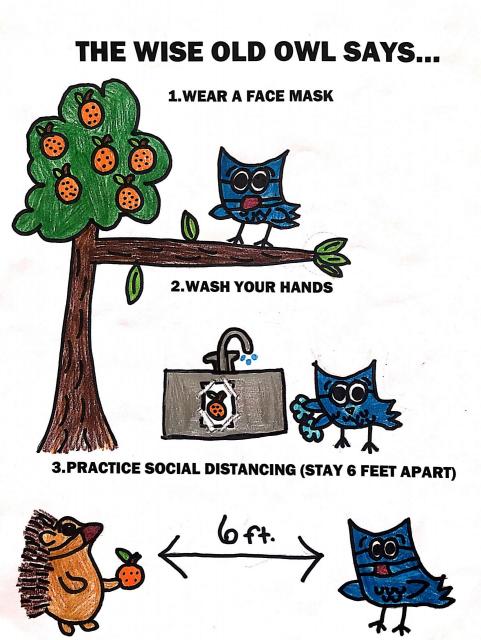 the wise old owl says wear a face mask wash your hands practice social distancing stay 6 feet apart