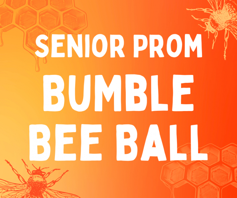 Senior Prom Bumble Bee Ball