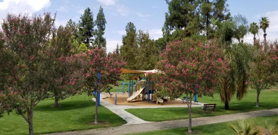 Ford Park playground and trees